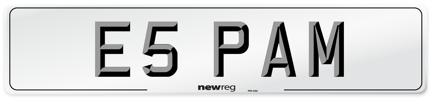 E5 PAM Number Plate from New Reg